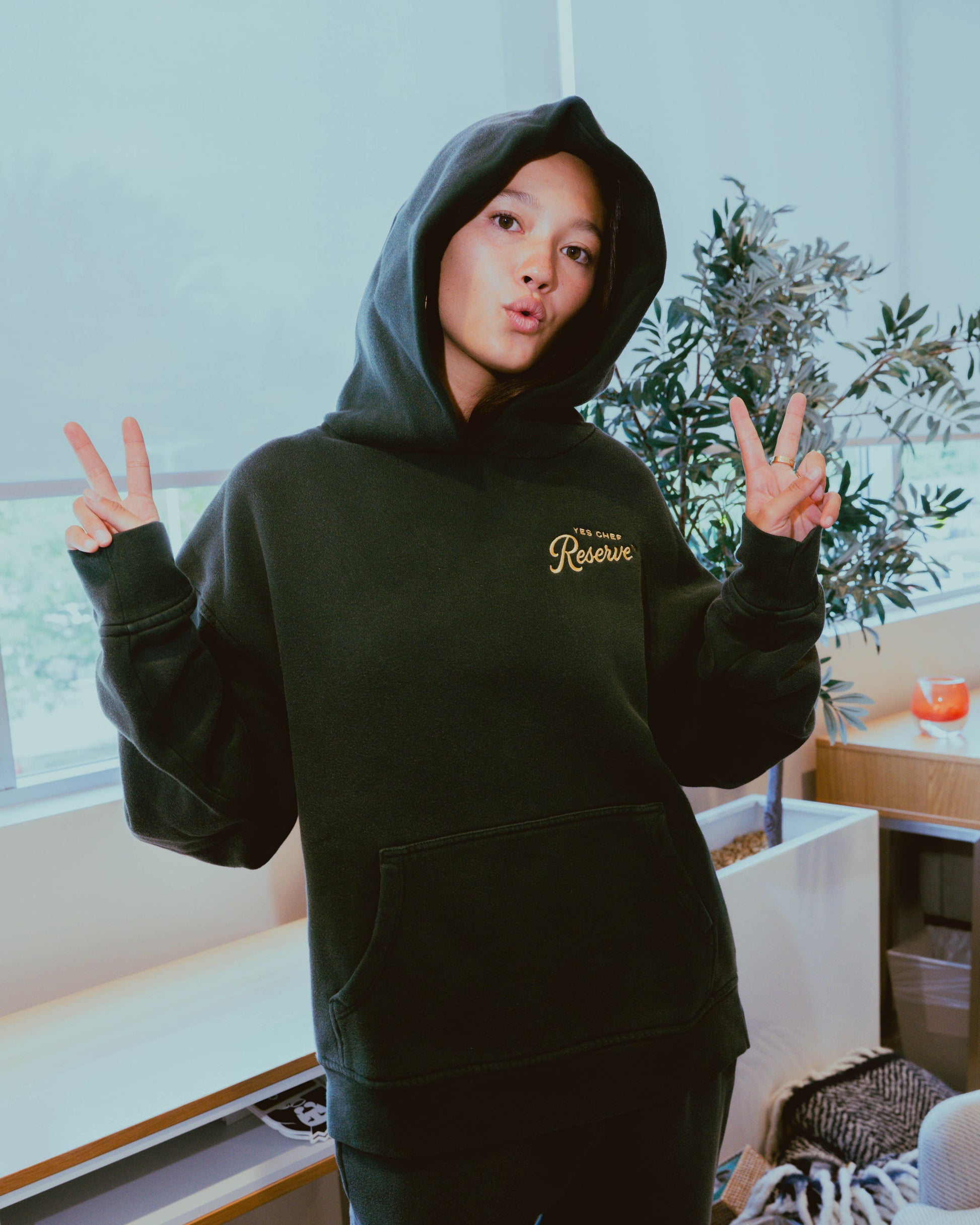 The Air Reserve Hoodie
